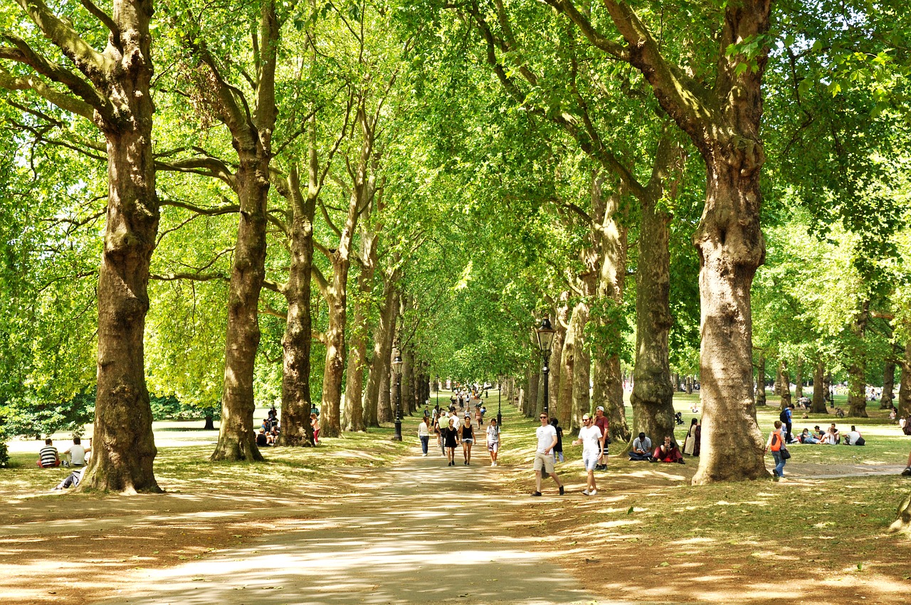 summer-in-the-city-the-best-spots-in-london